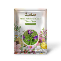 Purple Pattersons Curse Flower Seeds for Easy Planting
