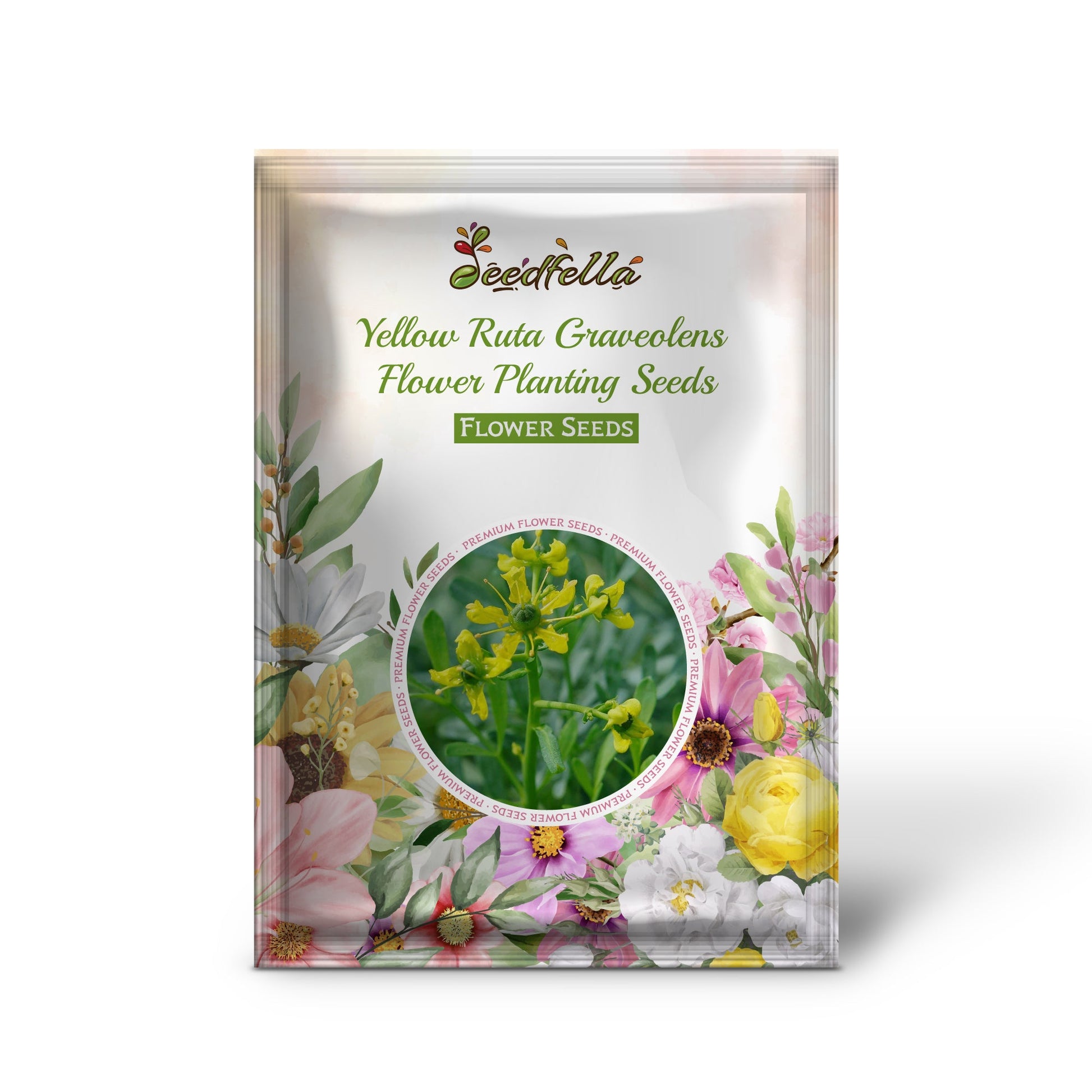 Yellow Ruta Graveolens Flower Planting Seeds  Brighten Your Garden with Vibrant Flowers