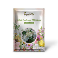 White Euphorbia Milii Seeds for Planting - Elegant Flower Seeds for a Stunning Garden