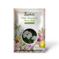 White Arrowwood Flower Seeds for Planting - Easy Growing Garden Seeds
