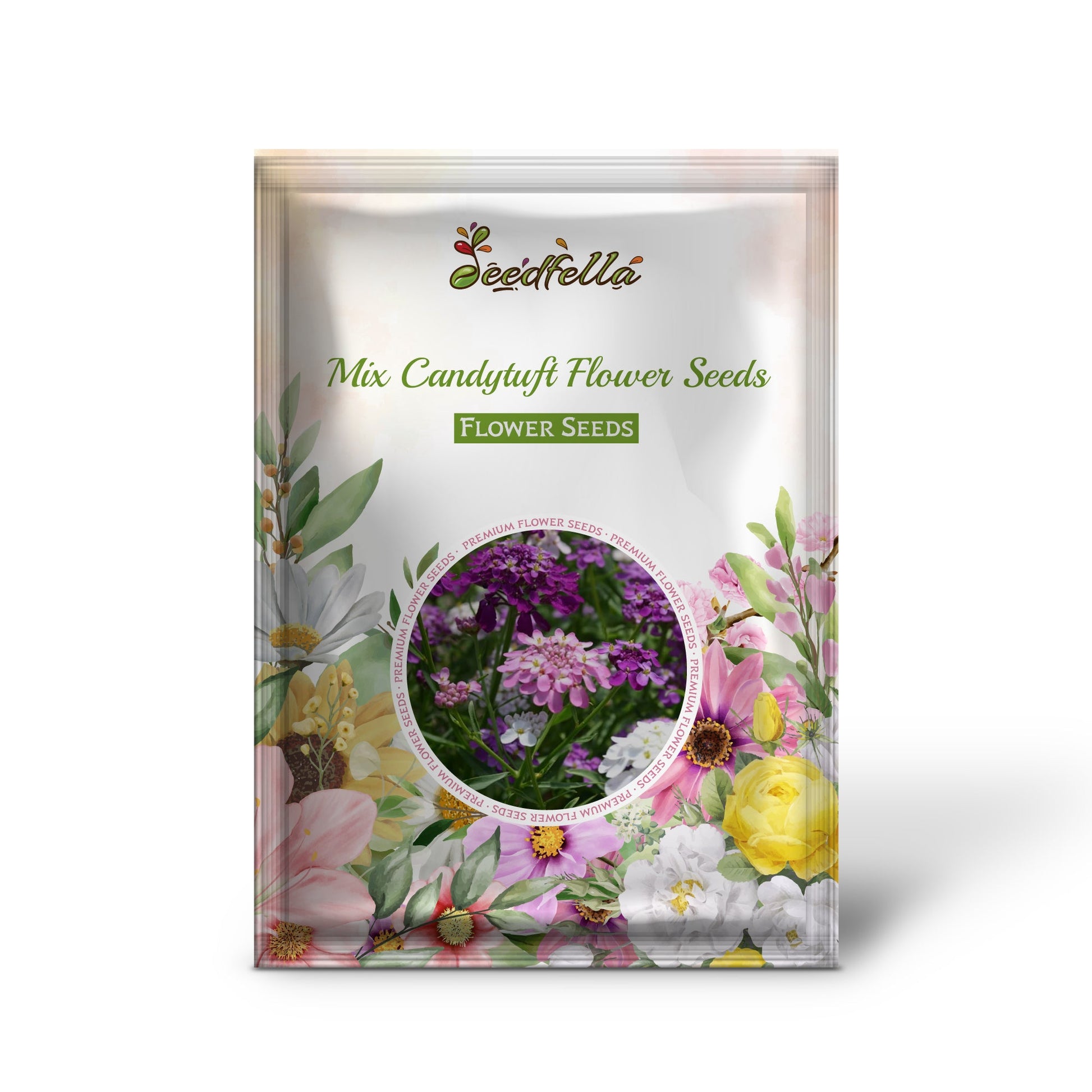 Mix Candytuft Flower Seeds for Planting - Colorful Annual Blooms for Vibrant Gardens