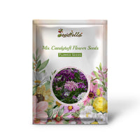 Mix Candytuft Flower Seeds for Planting - Colorful Annual Blooms for Vibrant Gardens