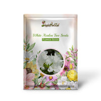 White Azalea Tree Seeds for Beautiful Garden Planting - Seeds for Stunning Blossoms and Outdoor Charm