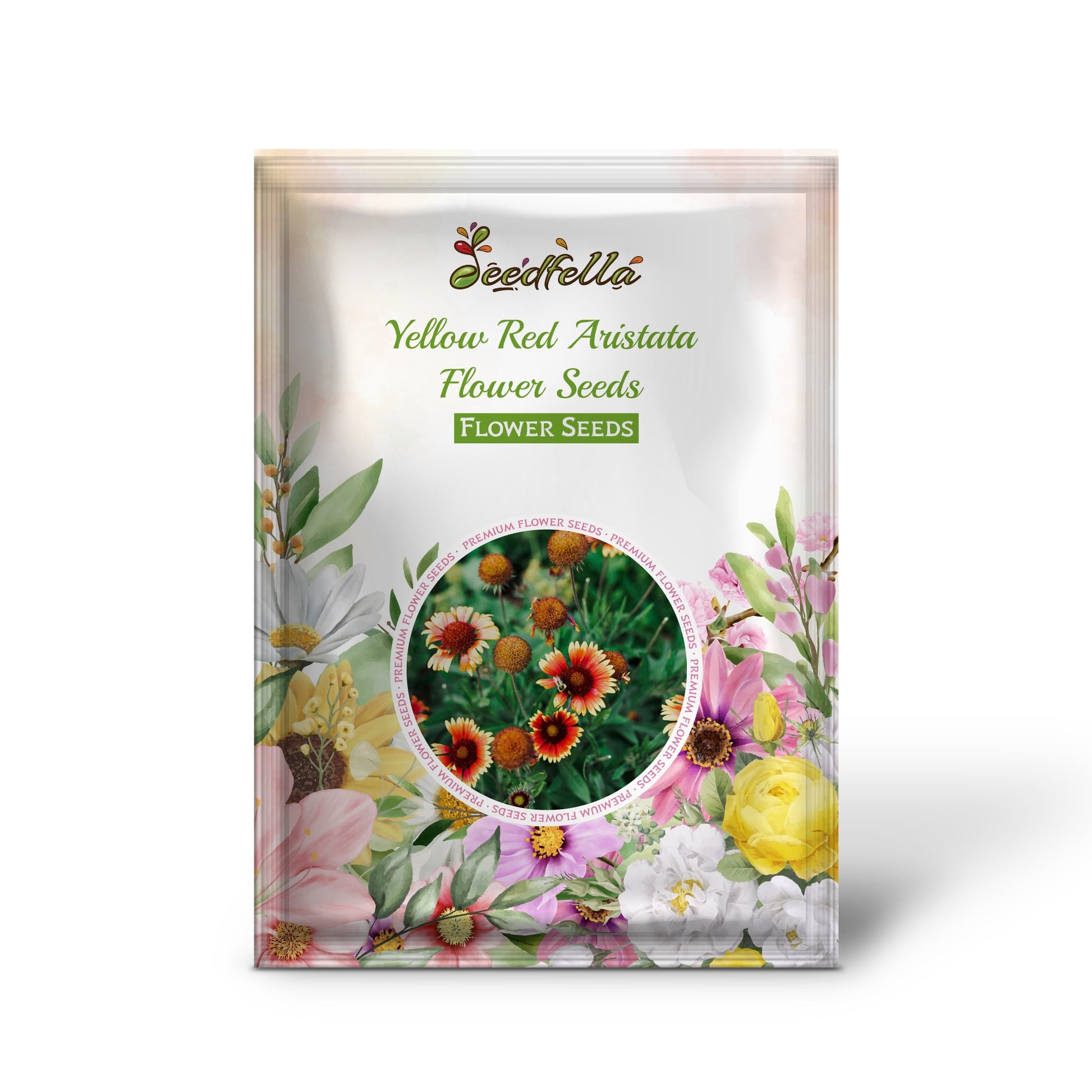 Yellow Red Aristata Flower Seeds for Garden Planting  Vibrant Blooms