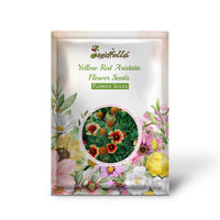 Yellow Red Aristata Flower Seeds for Garden Planting  Vibrant Blooms