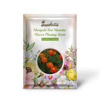 Marigold Red Marietta Flower Planting Seeds - Vibrant Garden Blooms for Colorful Landscapes