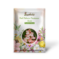 Pink Palmers Penstemon Seeds for Planting  Vibrant Perennial Flower Seeds for Your Garden