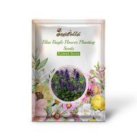 Blue Bugle Flower Planting Seeds for Colorful Landscapes