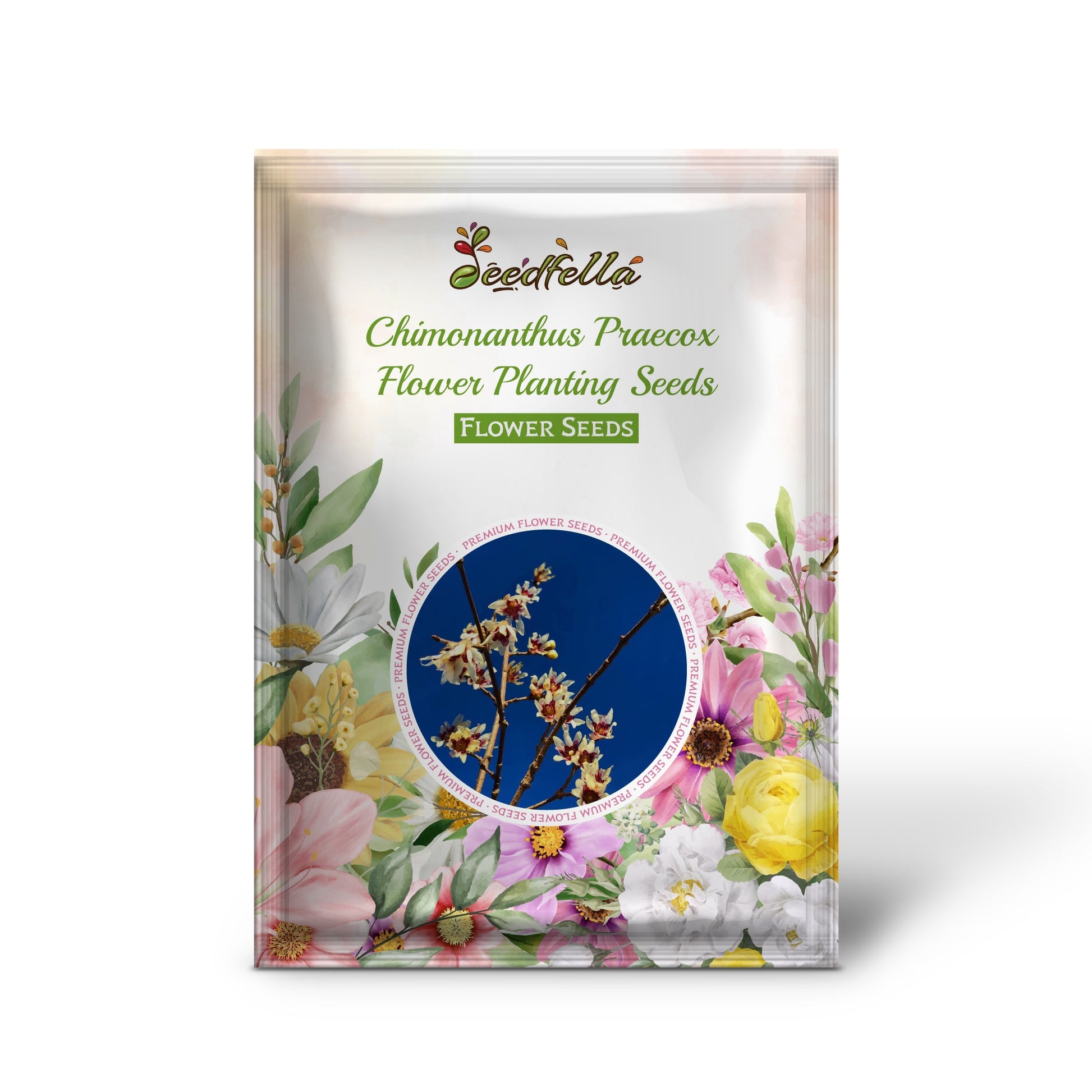 Chimonanthus Praecox Flower Planting Seeds for Your Garden