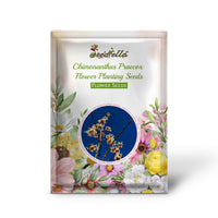 Chimonanthus Praecox Flower Planting Seeds for Your Garden