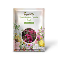 Purple Elegant Clarkia Seeds for Planting  Vibrant Annual Flower Blooms