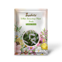 White Snowdrop Plant Seeds for Planting  Seeds for Galanthus Nivalis and Stunning Floral Displays