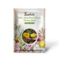 Yellow Strawflower Flower Planting Seeds