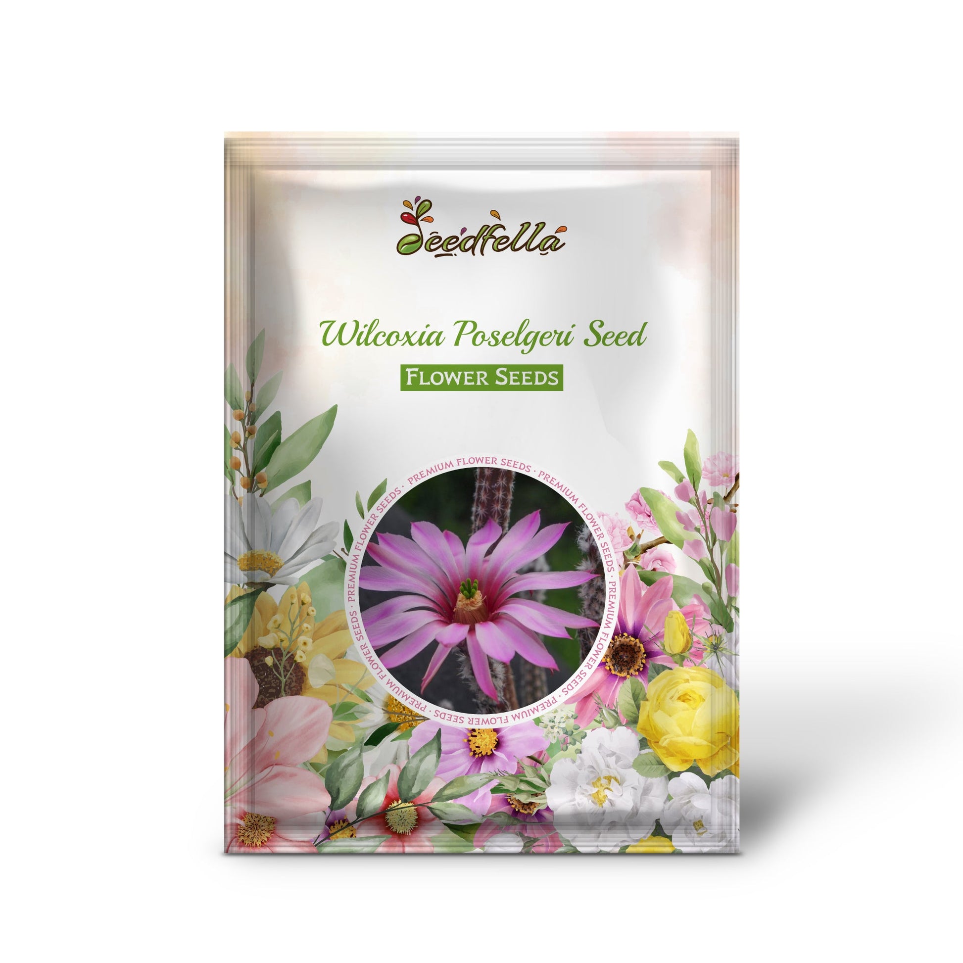 Wilcoxia Poselgeri Seed for Planting  Seed for Flourishing and Lush Greenery in Your Garden