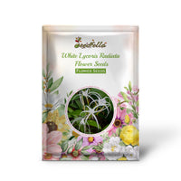 White Lycoris Radiata Flower Seeds - Elegant Planting Seeds for Beautiful Gardens