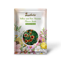Yellow and Red Arizona Flower Seeds for Planting