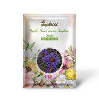 Purple Aster Novae Angliae Seeds for Perennial Planting