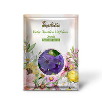 Violet Abutilon Vitifolium Seeds for Planting - Elegant Garden Flowers