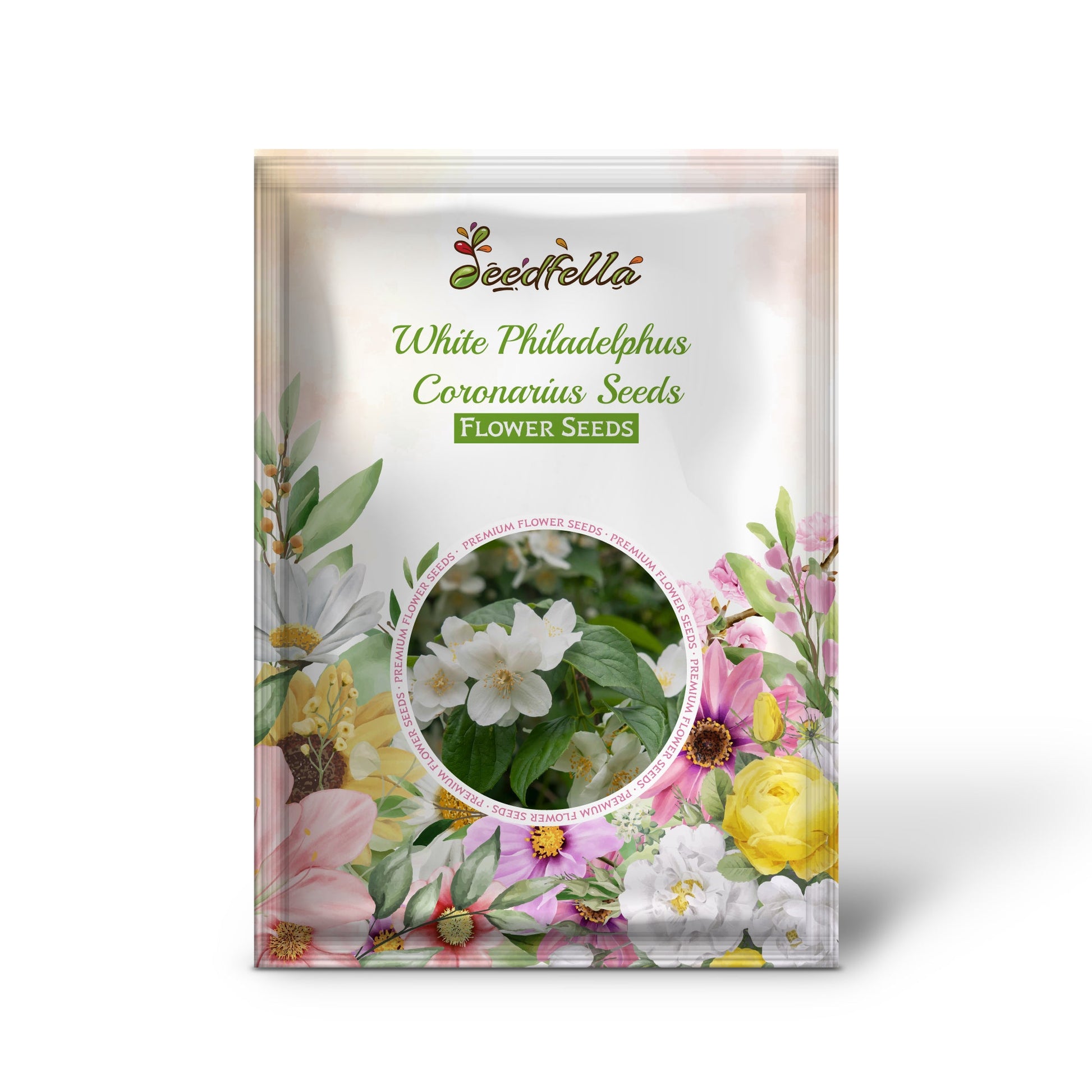 White Philadelphus Coronarius Seeds for Planting - Fragrant Mock Orange Blooms