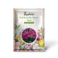 Pink Incarvillea Flower Seeds for Planting - Vibrant Perennial Blooms