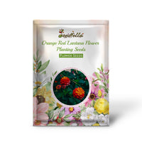 Orange Red Lantana Flower Planting Seeds - Vibrant and Resilient Garden Blooms