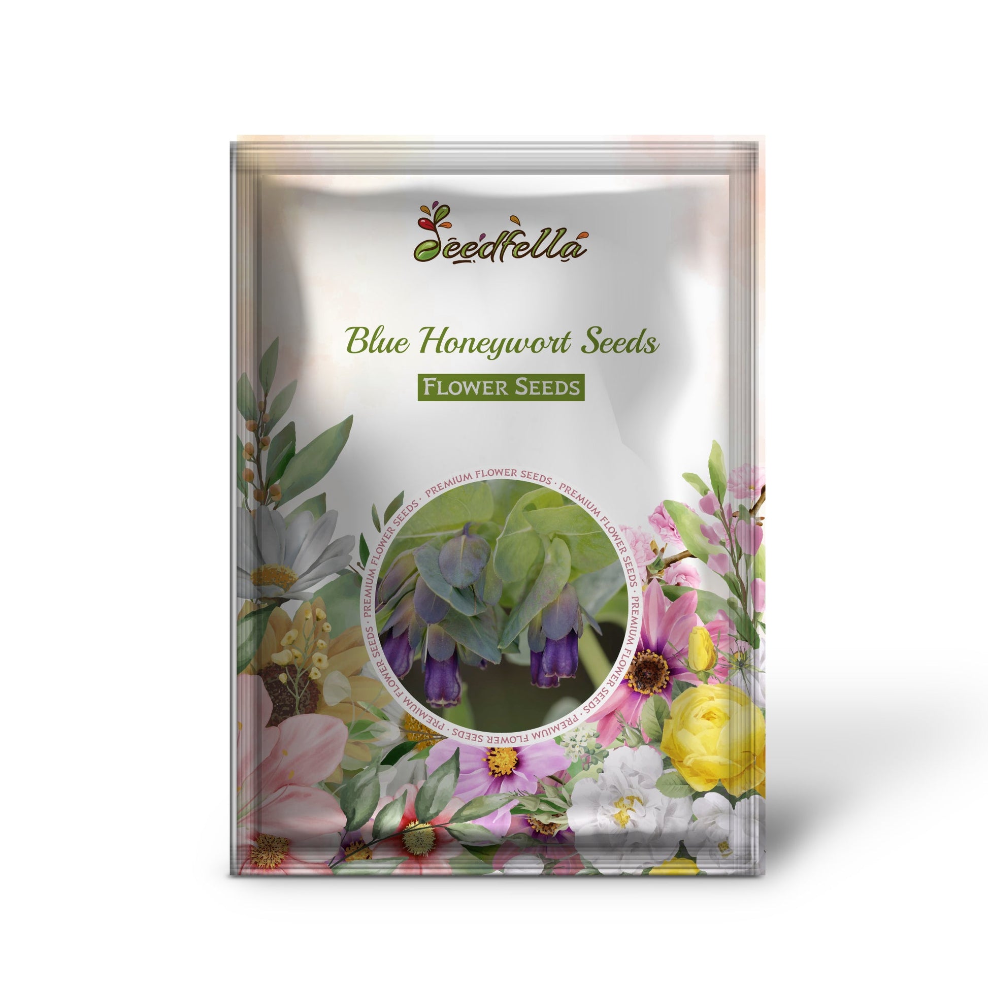 Blue Honeywort Seeds for Planting - Easy to Grow