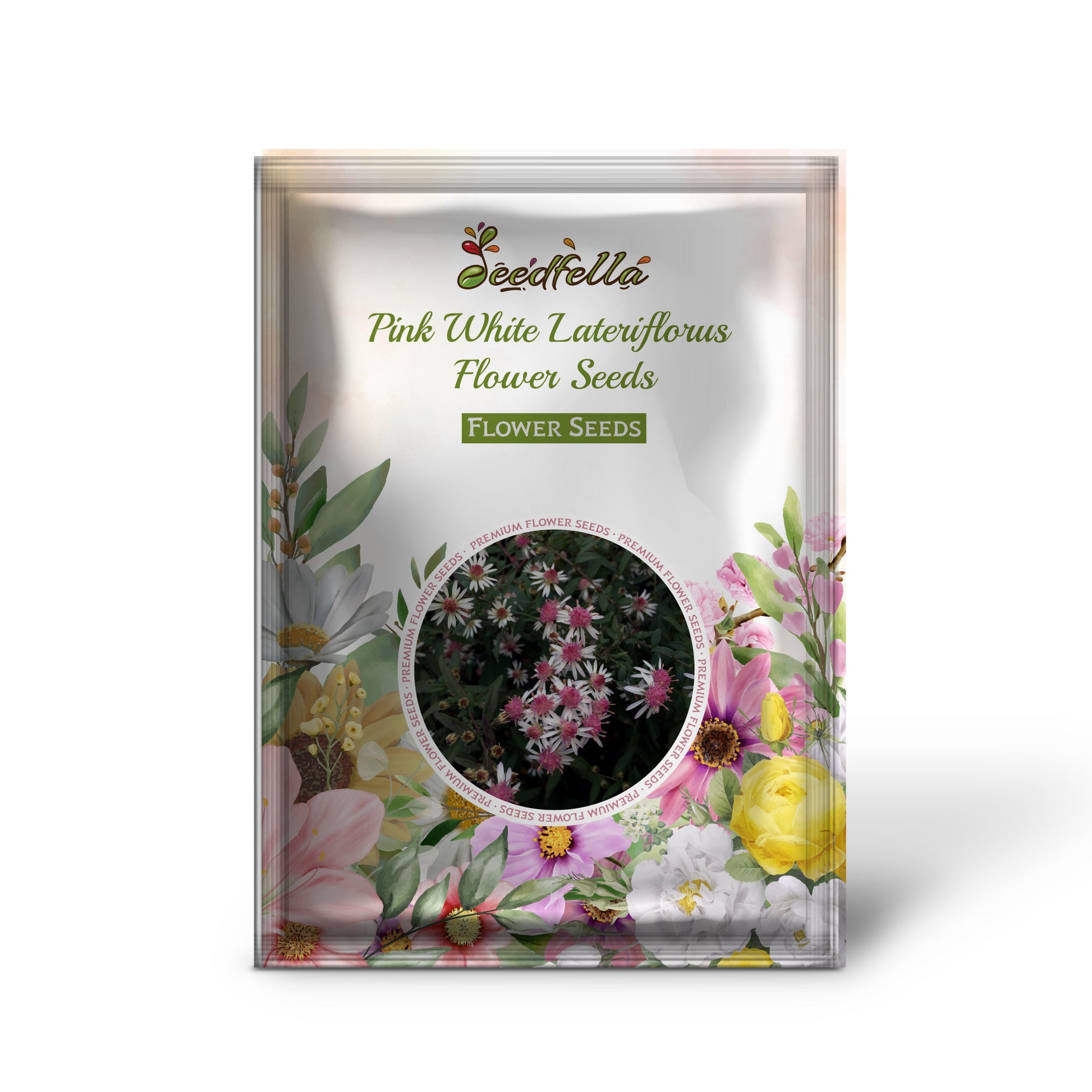 Pink White Lateriflorus Flower Seeds for Beautiful Garden Planting