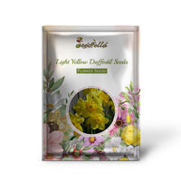 Light Yellow Daffodil Seeds for Planting  Perennial Spring Blooms for Garden
