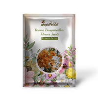 Brown Bougainvillea Flower Seeds for Planting