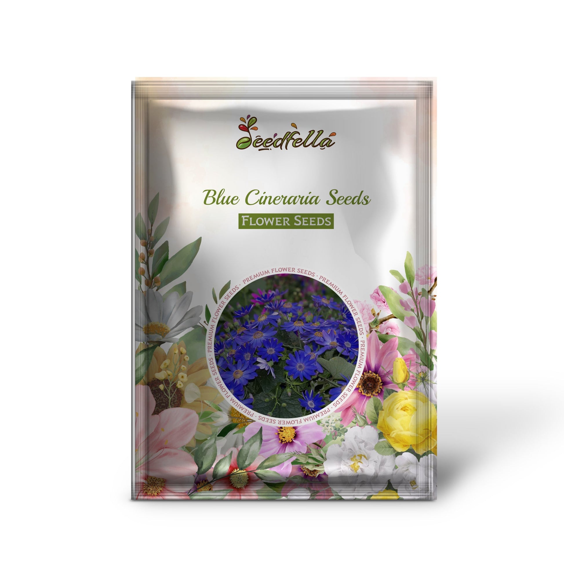 Blue Cineraria Seeds - Ideal for Planting