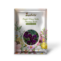 Purple Wavy Viola Planting Seeds for Fall & Spring Gardens