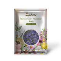 Blue Lavender Munstead Seeds for Planting