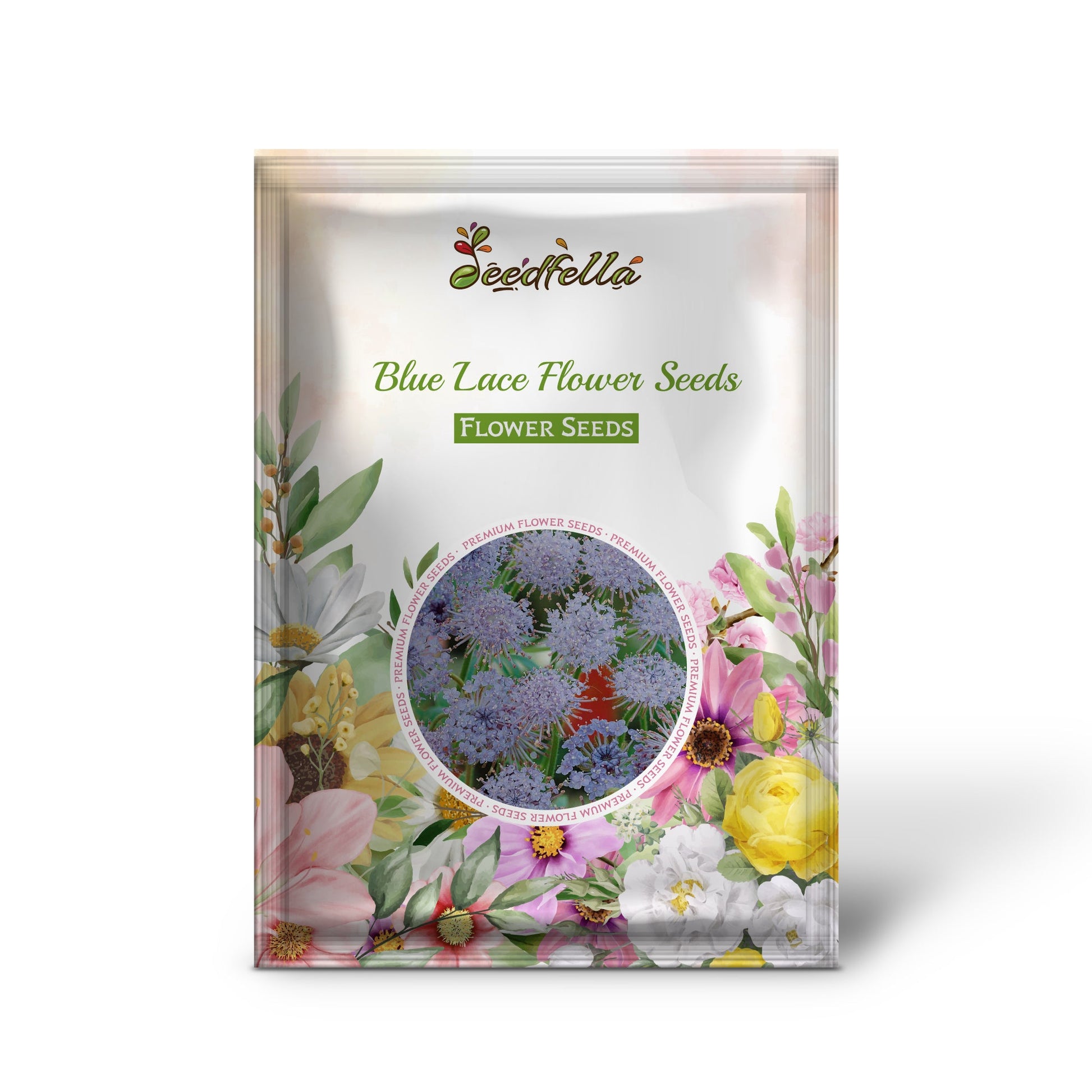 Blue Lace Flower Seeds for Planting