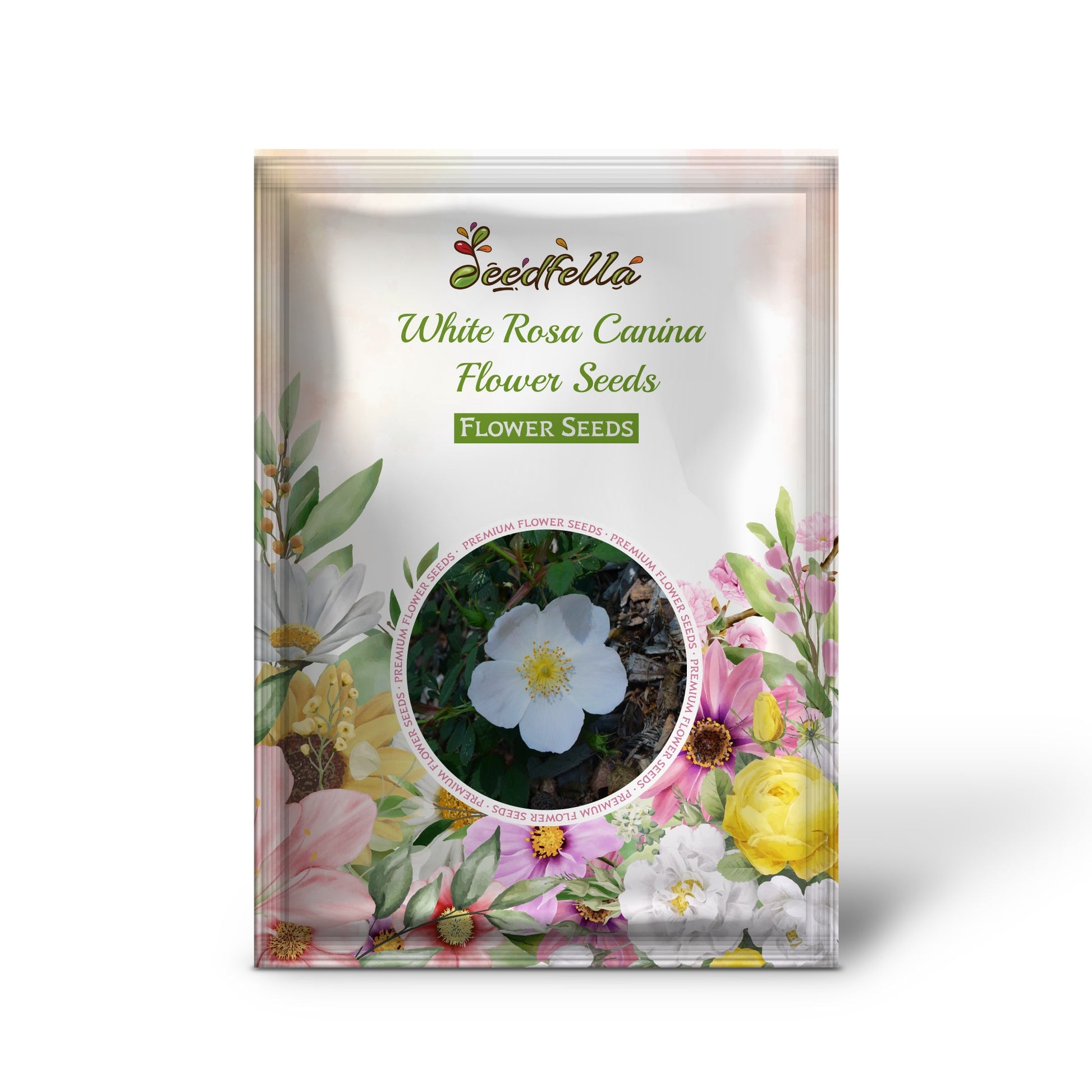 White Rosa Canina Flower Seeds for Vibrant Gardens - Seed for Exquisite Floral Arrangements