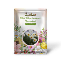 White Yellow Narcissus Flower Seeds for Planting  Seed for Bright, Cheerful Blooms in Gardens, Ideal for Home and Outdoor Spaces