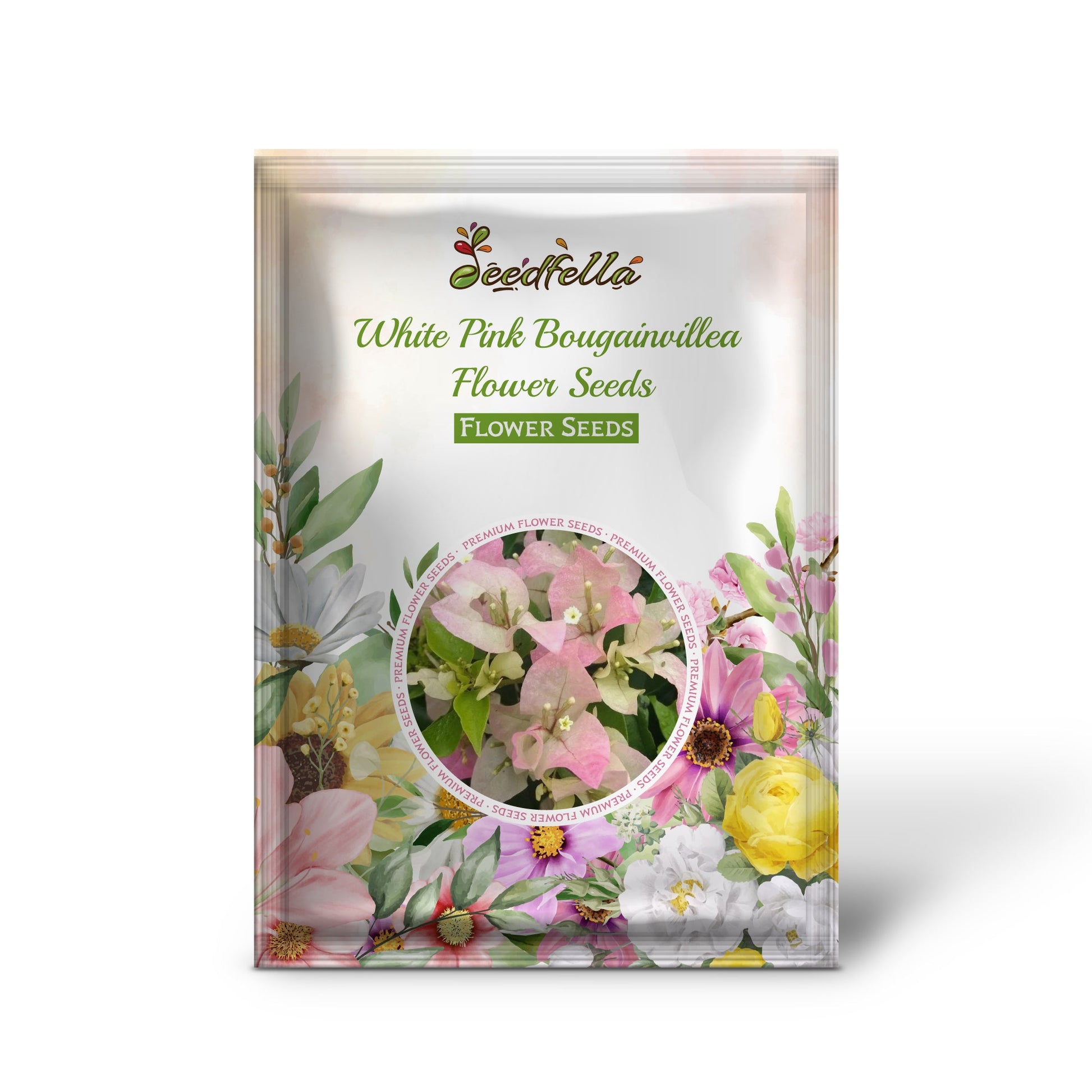 White Pink Bougainvillea Flower Seeds for Planting  Seed for Vibrant and Lush Blooms