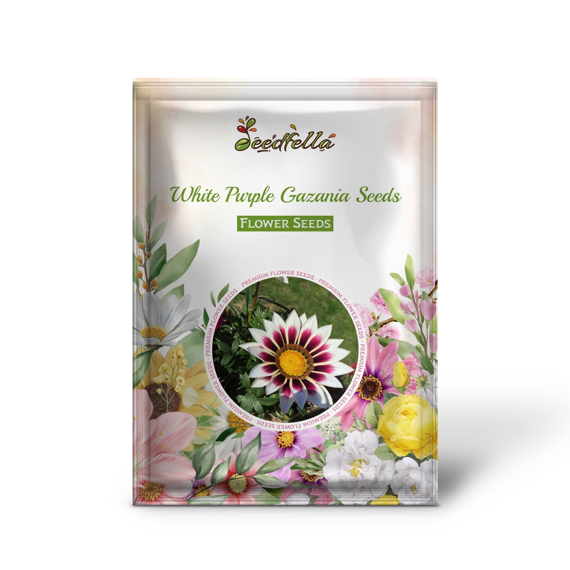 White Purple Gazania Seeds for Planting  Vibrant Annual Flower Seeds
