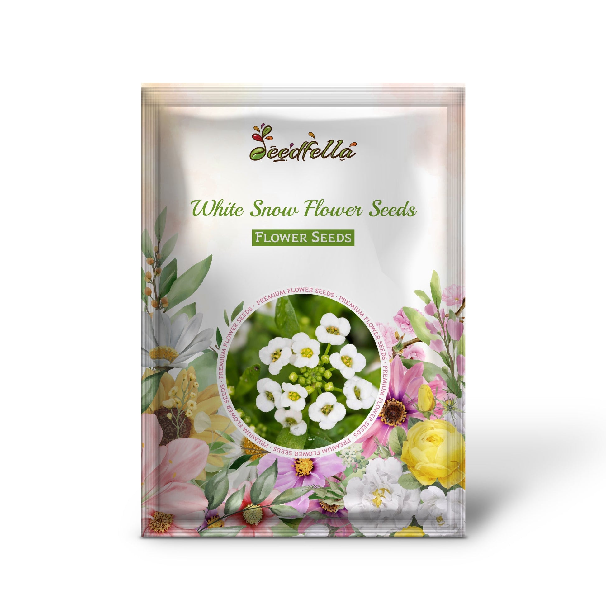 White Snow Flower Seeds Planting - Cultivate Beautiful White Flowers