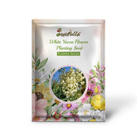 White Yucca Flower Planting Seed for Stunning Desert-Like Blooms in Your Garden, Perfect for All Seasons