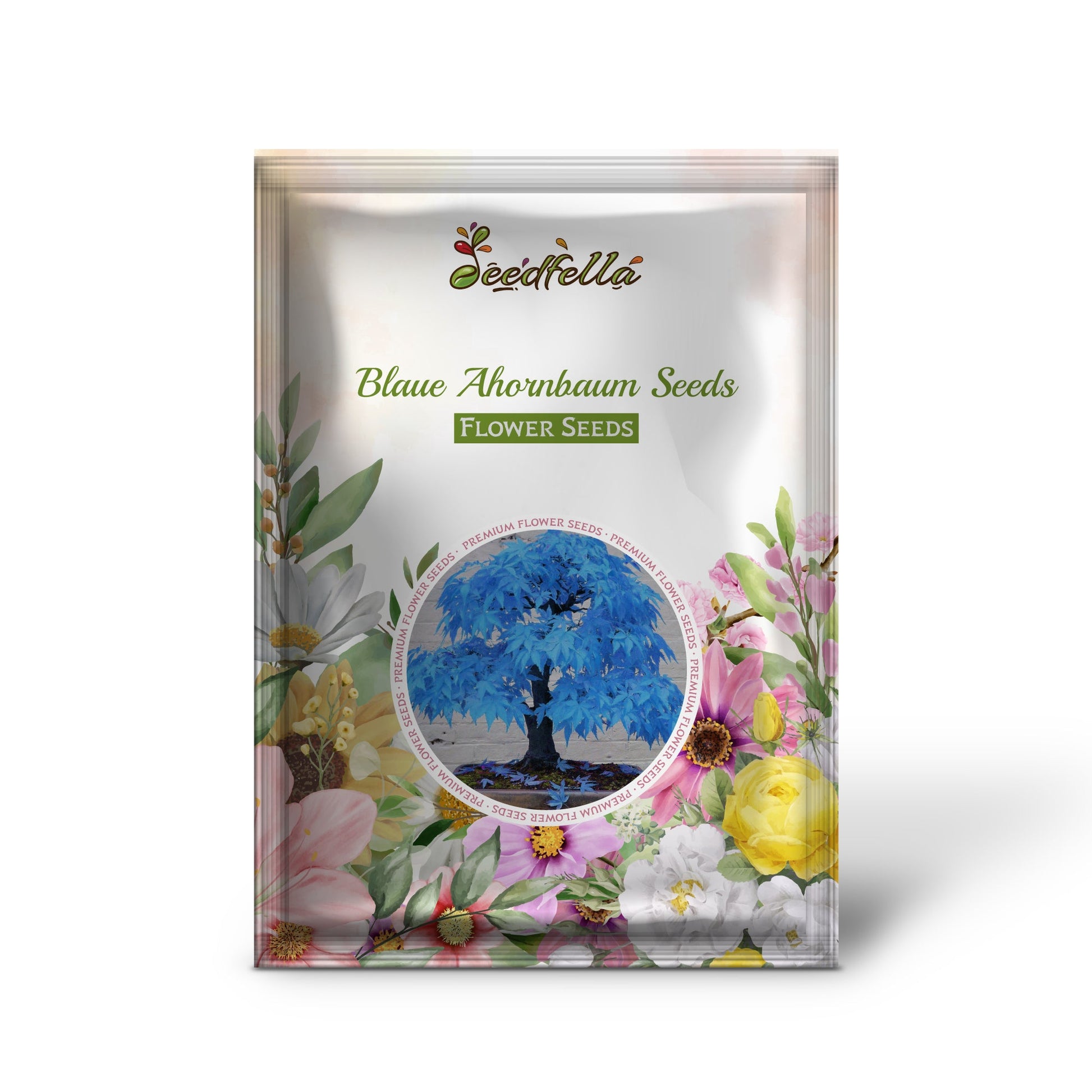 Blaue Ahornbaum Seeds for Planting  Premium Quality Tree Seeds