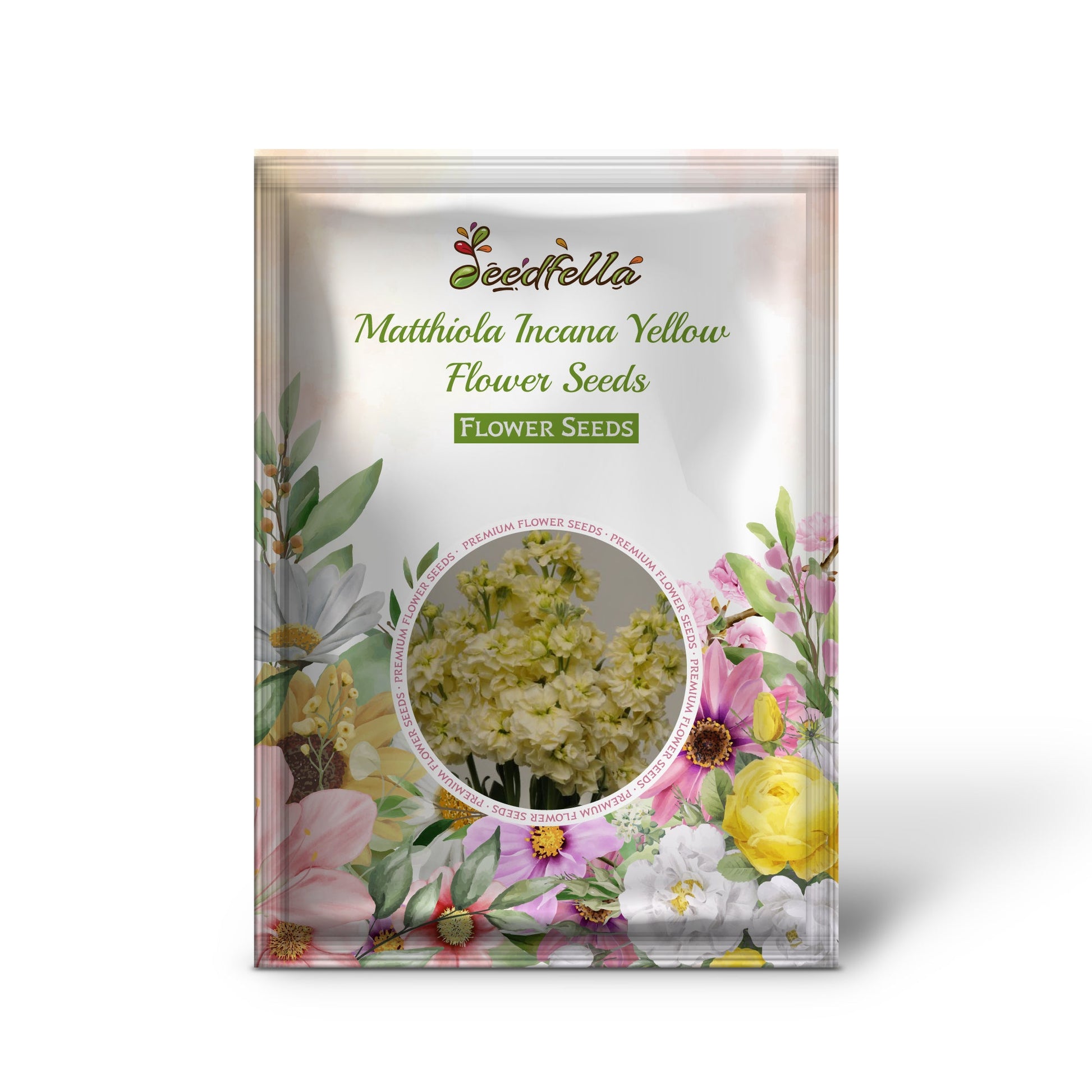 Matthiola Incana Yellow Flower Seeds for Spring and Summer Planting