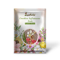 Oenothera Suffrutescens Seeds for Vibrant Garden Planting