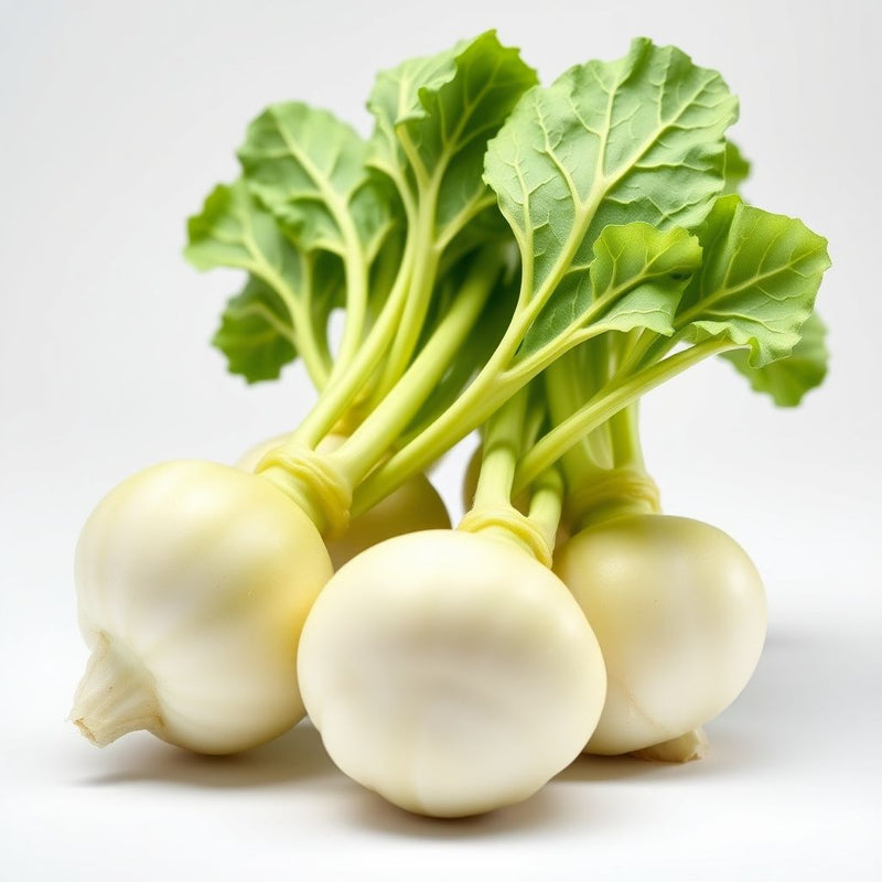 Green Kohlrabi Seeds for Planting