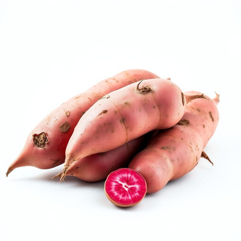 Dark Pink Sweet Potato Seeds for Planting - Grow Your Own Vegetables