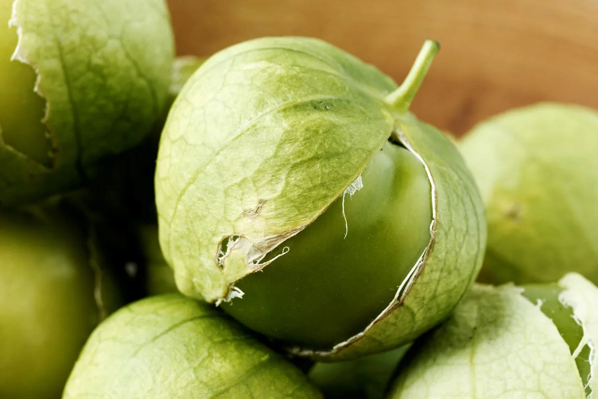 Pineapple Tomatillo Seeds for Rare Yellow Fruits, Eastern European Variety