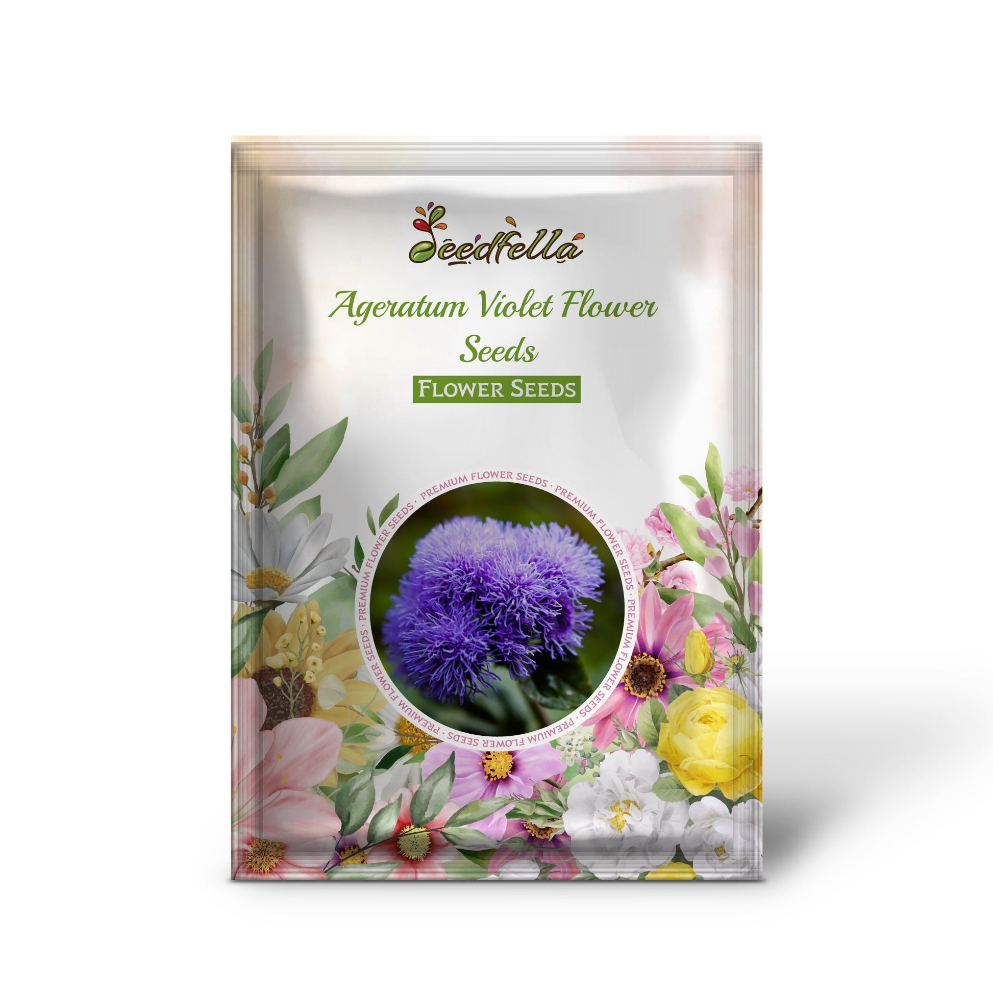 Violet Ageratum garden seeds for outdoor planting