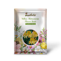 Yellow Alstroemeria garden seeds for outdoor planting