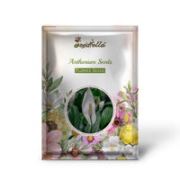 Hydroponic Anthurium garden seeds for indoor growing