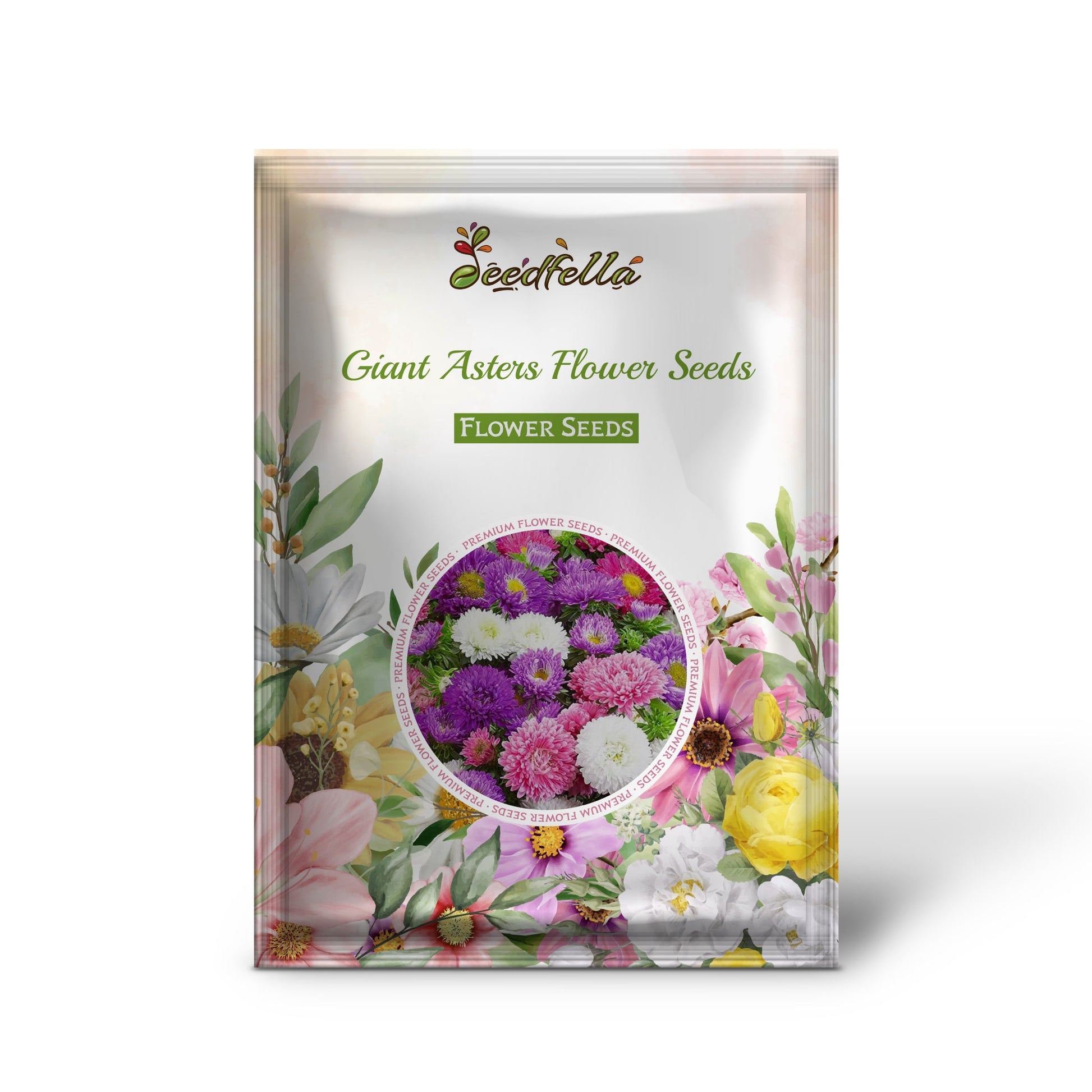 Giant Aster garden seeds for outdoor planting