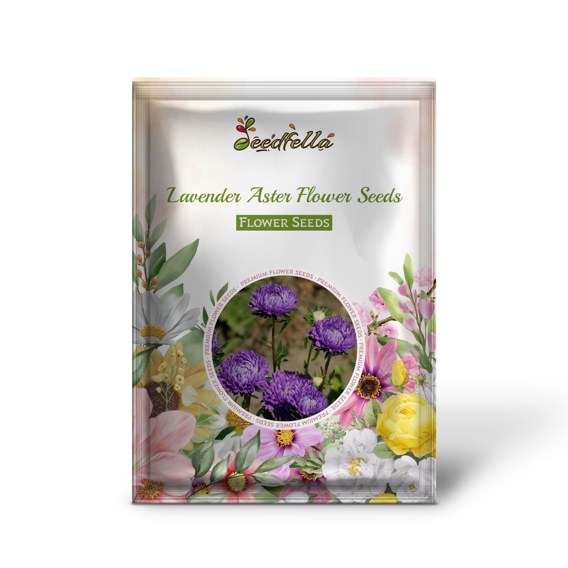 Lavender aster garden seeds for outdoor planting